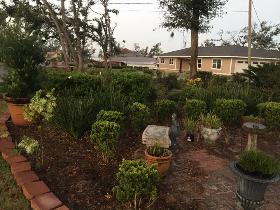 Garden Thoughts After Hurricane Michael  (After 10/10/18)