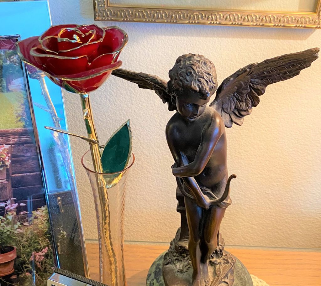 Believed Roses Roses From Beloveds - Seeking Christ in the World